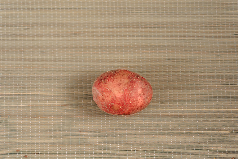 Rozara Seed Potato