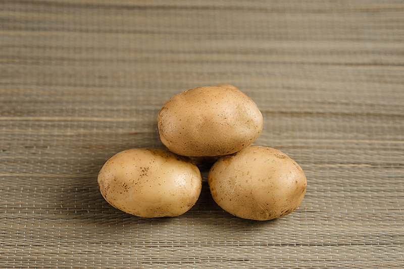 Safo planting potatoes