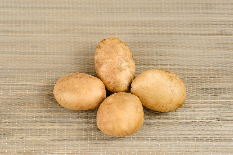 Tuleevskiy planting potatoes