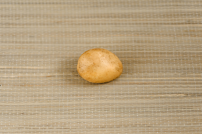 Tuleevskiy seed potatoes