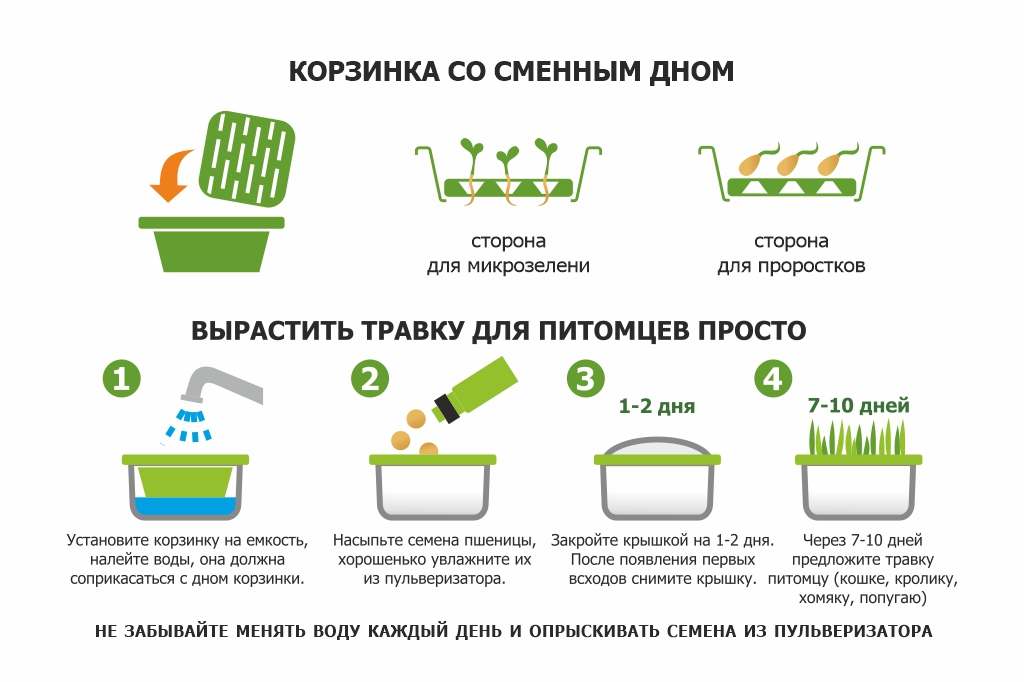 Green grass germinator «Zdorovya Klad»