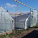 Growing strawberries using low-volume technology