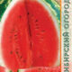 Watermelon Astrakhan seeds 10pcs