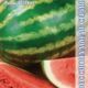 Watermelon Colosseo F1 seeds 5pcs