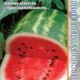 Watermelon Melania F1 seeds 5pcs