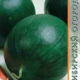 Watermelon Spark seeds 10pcs