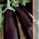 Eggplant Diamond seeds 0.13g