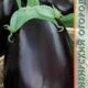 Eggplant Black handsome seeds 0.13g