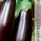 Eggplant Galich seeds 0.13g