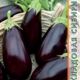 Eggplant Kubyshka seeds 0.13g