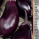 Eggplant Vnuchok seeds 0.13g