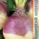 Rutabaga Gera seeds 1g