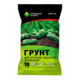 Peat soil for growing seedlings for cucumbers, zucchini and pumpkin