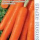 Carrot Carvora F1 ECONOMY seeds 200pcs