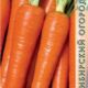 Carrot Queen of autumn seeds 2g