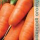 Carrot Red Core seeds 2g