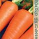 Carrot Shantenay 2461 seeds 2g