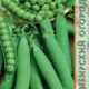 Peas Premium seeds 10g