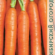 Carrot Nantese seeds 2g
