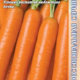 Carrot Naturgor seeds 2g