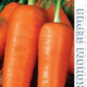 Carrot Royal Chanson ECONOMY seeds 5g
