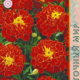 Marigold seeds Carmen 0.3g