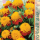 Marigold Seeds Petit Spray 0.3g