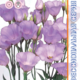 Seeds Lisianthus Russell Piccolo F1 Milka 5pcs