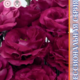 Seeds Lisianthus Rosita 3 F1 Red 5pcs