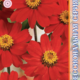 Zinnia seeds Profusion Double Red 5pcs