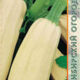 Zucchini seeds grade Anchor