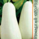 Zucchini White-fruited seeds 5pcs