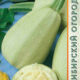 Zucchini Spaghetti Raviolo seeds 7pcs