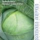 White cabbage Atria F1 seeds 10pcs
