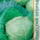 White cabbage Kazachok seeds 0.3g