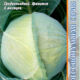 White cabbage Kolya F1 seeds 15pcs