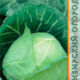 White cabbage SB 3 F1 seeds 0.3g