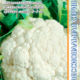 Cauliflower Givont F1 seeds 15pcs