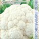 Cauliflower Snegurochka F1 seeds 15pcs