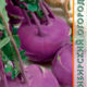 Cabbage kohlrabi Violeta
