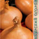 Bulb onion Stuttgarter Risen seeds 1g