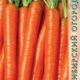 Carrot Amsterdam seeds 2g