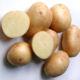 Seed potatoes Nevsky