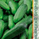 Cucumber Desdemona F1 seeds 10pcs