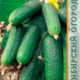 Cucumber seeds grade Connie F1