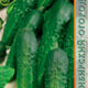 Cucumber May F1 seeds 10pcs