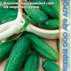 Novosibirsk cucumber seeds 10pcs