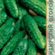 Cucumber Plentiful seeds 10pcs