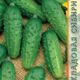 Cucumber Vysotka seeds 10pcs