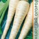 Parsnip Best of all seeds 1g